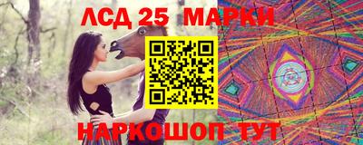 индика Кимры