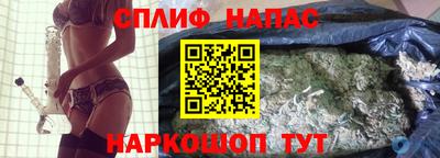 гидра Кингисепп