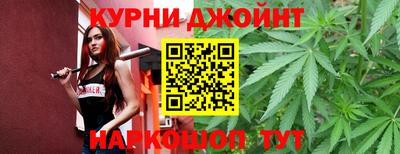 сатива Кинель