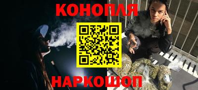 гидра Кингисепп