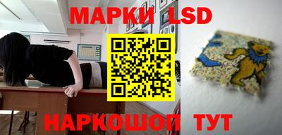 гидра Кингисепп