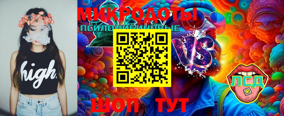 Королёв  Псилоцибиновые грибы GOLDEN TEACHER  наркотики  Галлюциногенные грибы GOLDEN TEACHER  Вход с VPN 