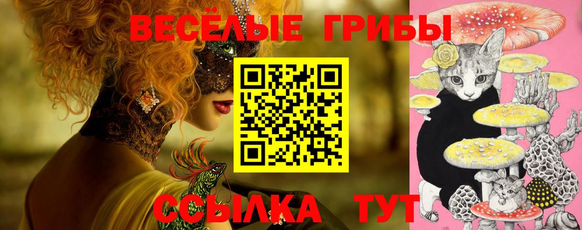 Псилоцибиновые грибы Cubensis Королёв